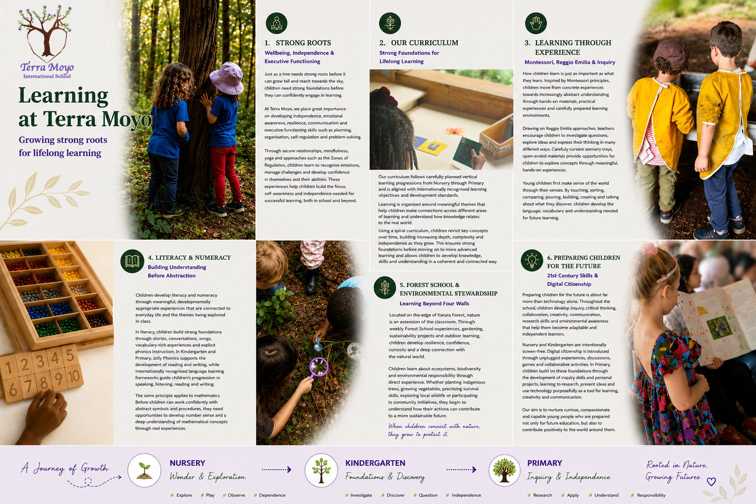 Terra Moyo Brochure
